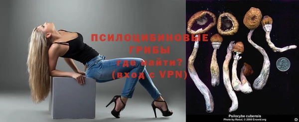 бошки Нея