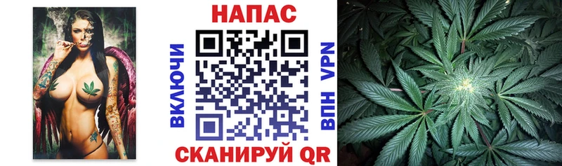 Конопля гибрид Александровск